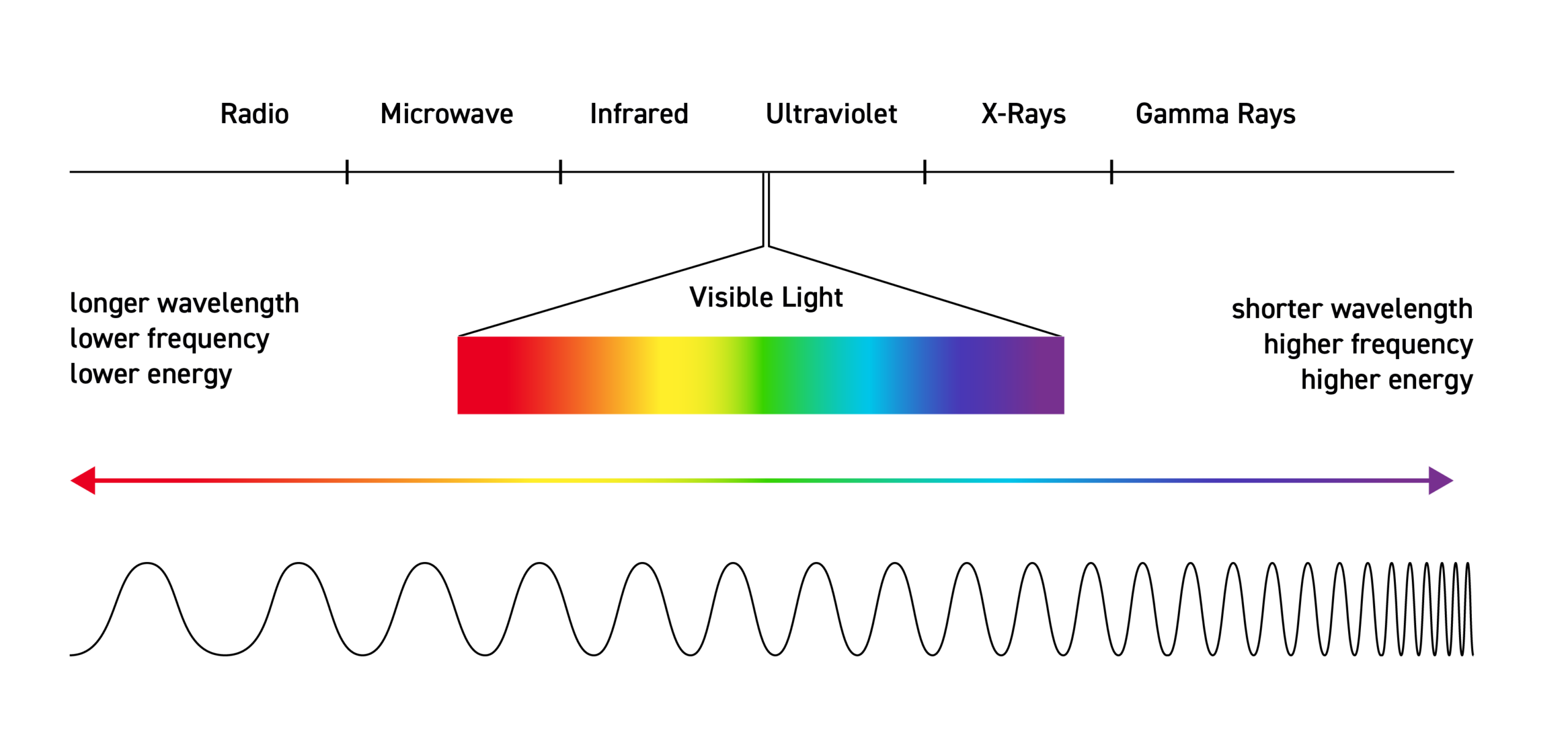 The Electromagnetic Spectrum